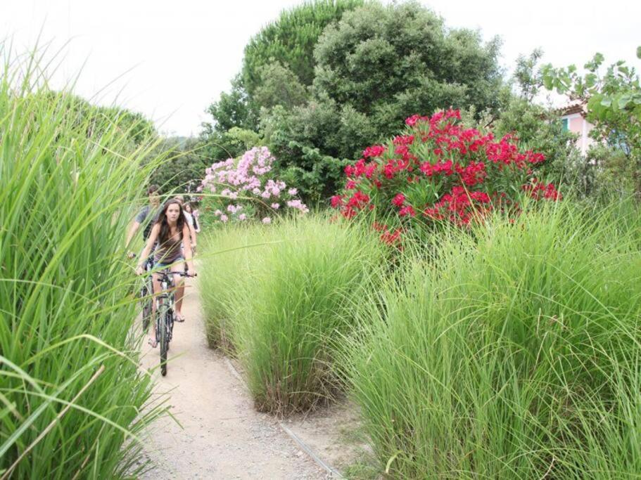 Les Restanques Bougainvillee 2051 Grimaud Eksteriør billede